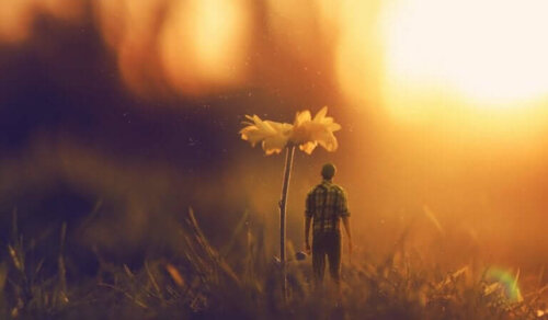 Onnellisuus ja onnen etsiminen ja löytäminen ovat usein keskeisiä aihepiirejä lausahduksissa, jotka muistuttavat meille, että elämä on kaunista