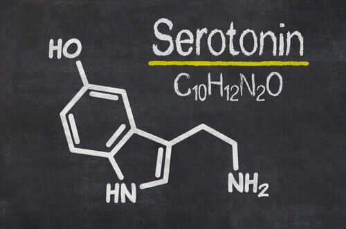 Serotoniinin toiminnan vaikutuksesta sitä voidaan kutsua sekä nautintohormoniksi että mielialahormoniksi