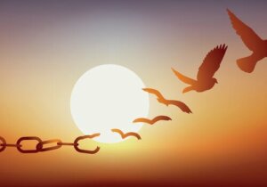 Mikä on takuujärjestelmän tarkoitus?