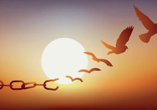 Mikä on takuujärjestelmän tarkoitus?