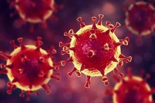 Psykologiset neuvot koronaviruksen aikana: "rokotteita" paniikin ehkäisemiseksi