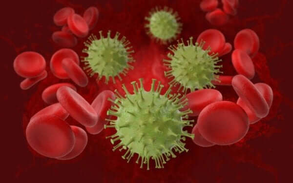 Koronavirus voi pesiytyä keskushermostoon