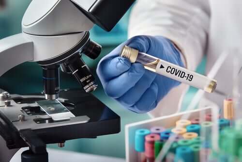 Koronaviruksesta on tehty uusia löydöksiä