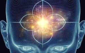 Aivolisäke ja käpyrauhanen: toiminnot ja ominaisuudet