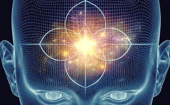 Aivolisäke ja käpyrauhanen: toiminnot ja ominaisuudet