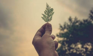 Näin voit auttaa muita karanteenin aikana