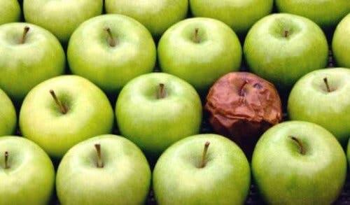Mädän omenan teoria työpaikalla