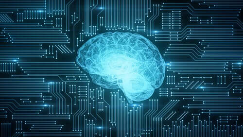 Miten digitalisaatio vaikuttaa aivoihin?