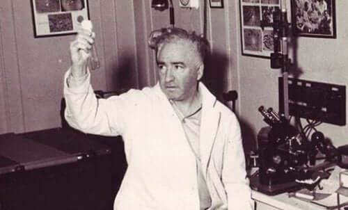 Wilhelm Reich työssään.