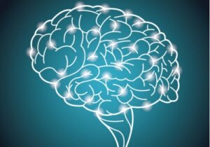 Maailman suurin älykkyyskokeilu