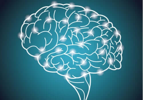 Maailman suurin älykkyyskokeilu