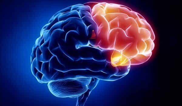 Aivojen syyllisyysalue ei aktivoidu kaikilla