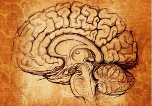 Linssitumake: oppimisen ja motivaation keskus