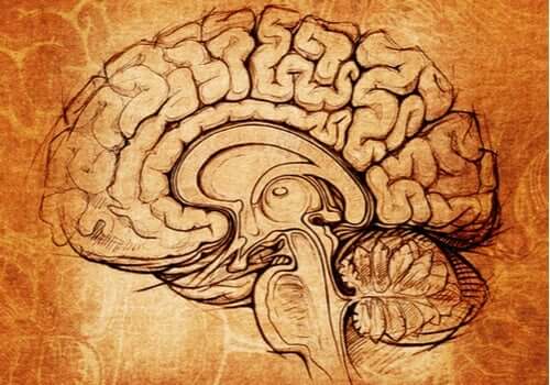 Linssitumake: oppimisen ja motivaation keskus
