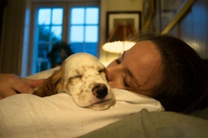 Lemmikkien kanssa nukkuminen: terveyshyödyt ja haitat
