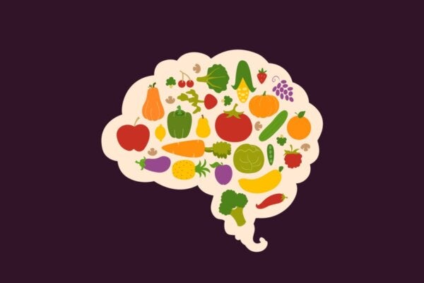 Aivot ja ruoka: terveellisesti syöminen ei olekaan niin helppoa kuin miltä se näyttää