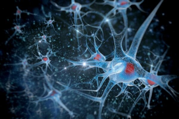 Neuronien karsinnan merkitys