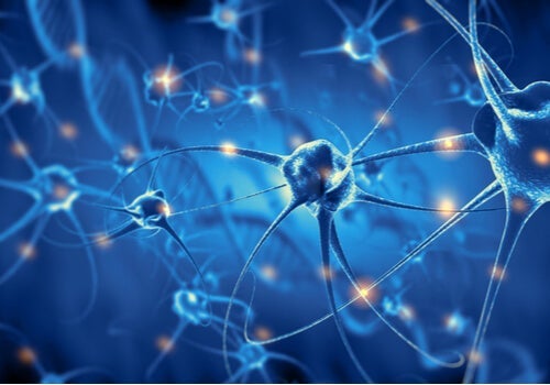 Psykobiologia: aivojen ja käyttäytymisen tutkiminen