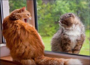 Pitäisikö viholliset pitää lähellä?