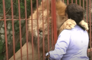 Ana Julia Torres, eläintenpelastaja