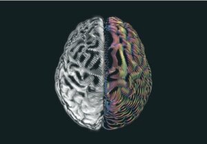 Mielenkiintoista tietoa ihmisistä, joilla on vain puolet aivoista