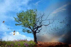 Ympäristöterveyden merkitys