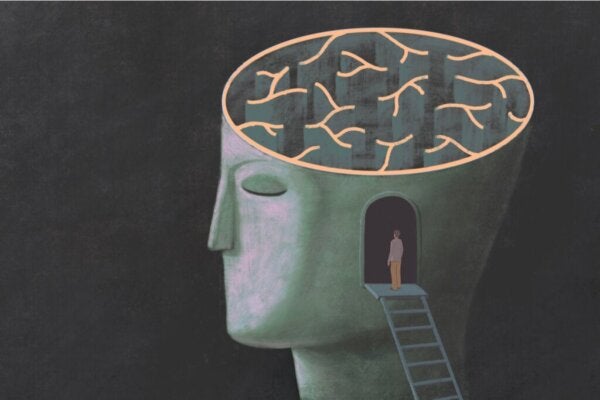 Rationaalinen irrationaalisuus: uskomme sen, mitä haluamme uskoa