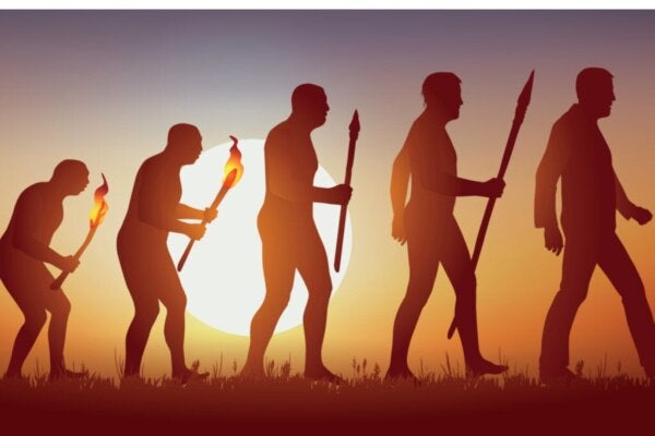 Sosiaalidarwinismi, luonnonvalinta