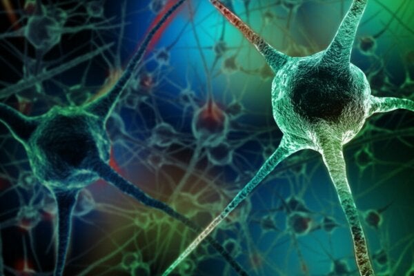 Oletko kuullut näistä hermosoluja tappavista tavoista?