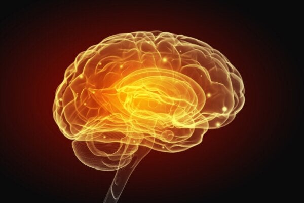 Skitsofrenian ja aivoverisuonten häiriöiden välinen yhteys