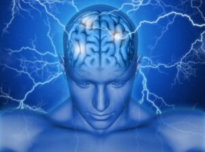 Supplementaarinen motorinen aivokuori