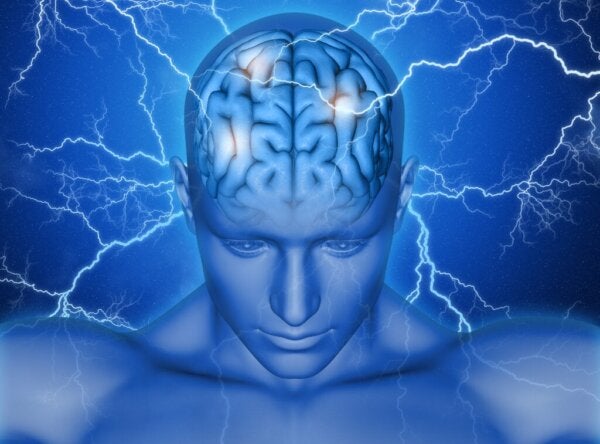 Supplementaarinen motorinen aivokuori