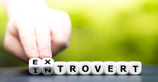 Miksi jotkut ihmiset ovat ekstrovertteja ja toiset introvertteja?