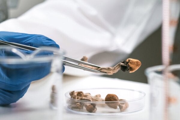 Psykedeelien käyttö parantumattomista sairauksista kärsivien hoidossa