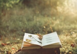 Kuinka runot voivat lievittää kipua