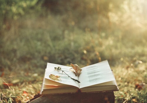 Kuinka runot voivat lievittää kipua