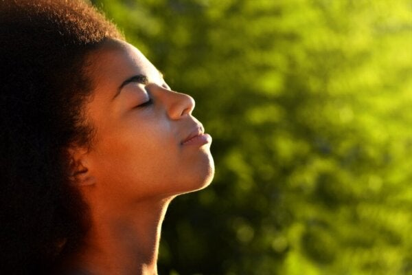 Tauon antaminen mielelle vähentää stressiä