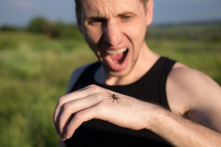 Araknofobia eli pelko hämähäkkejä kohtaan